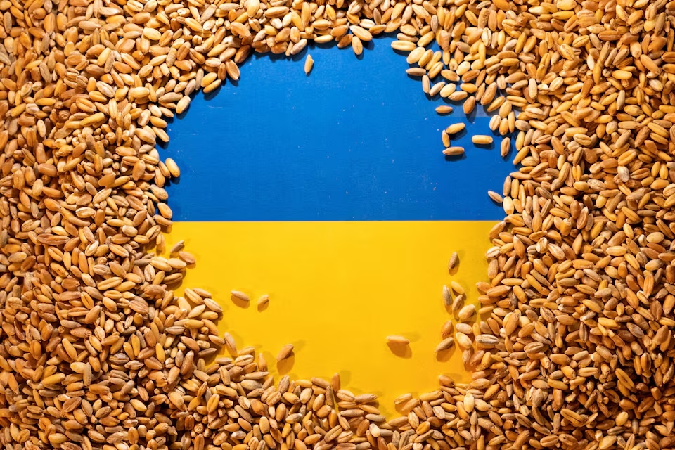 Exporturile agricole ale Ucrainei scad