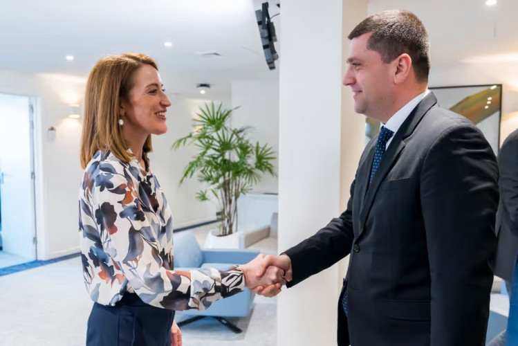 Ministrul apărării naționale, întrevedere cu președinta Parlamentului European